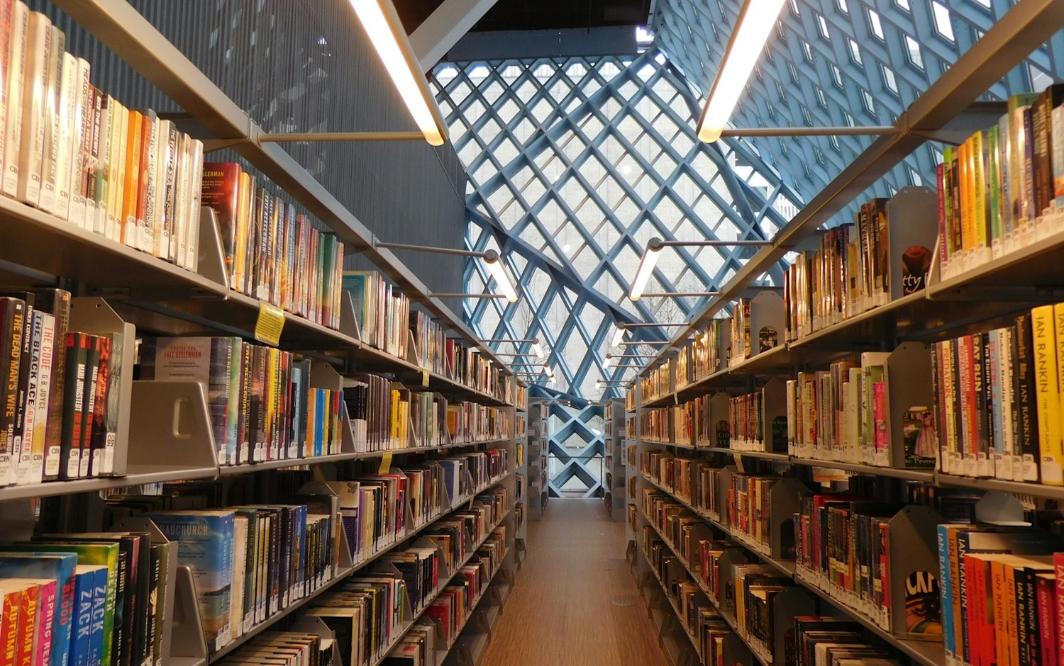 Bibliotheksregale als Bild für Wissen