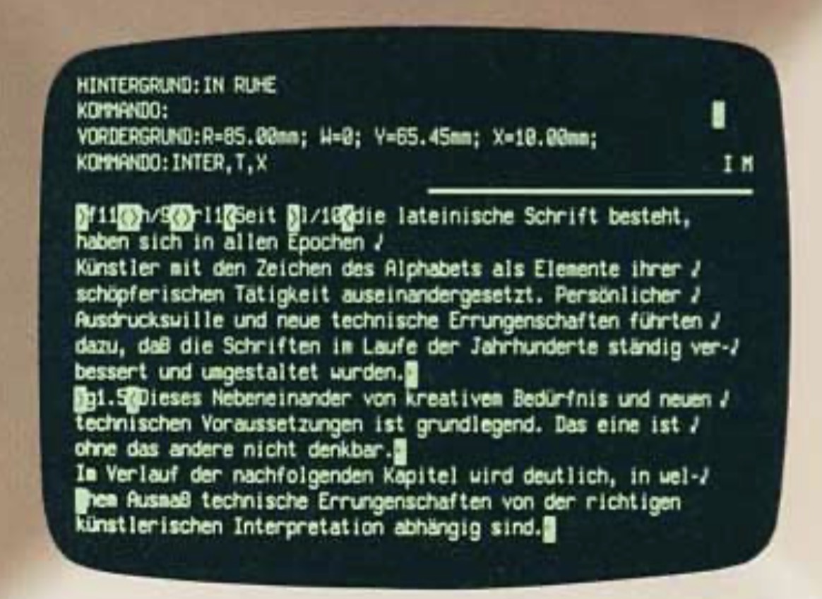 Monochromer Computerbildschirm mit strukturiertem Text